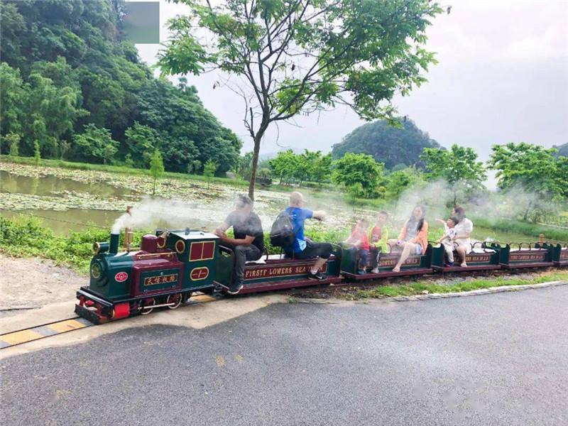 田園鄉(xiāng)村觀光小火車造價(jià)多少錢？
