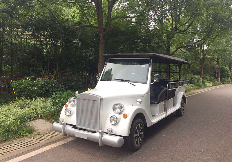 觀光車怎么選？燃油觀光車和電動(dòng)觀光車有什么區(qū)別？